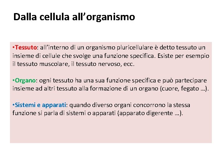 Dalla cellula all’organismo • Tessuto: all’interno di un organismo pluricellulare è detto tessuto un