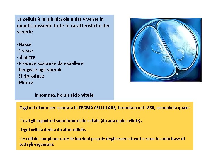 La cellula è la più piccola unità vivente in quanto possiede tutte le caratteristiche