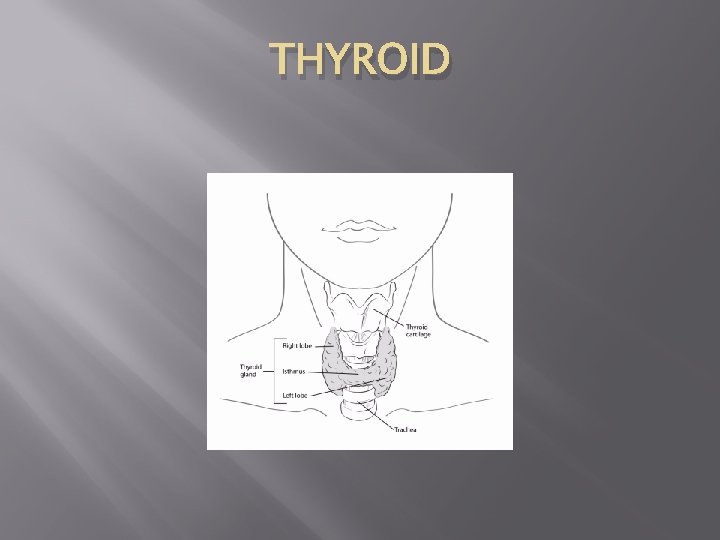 THYROID 