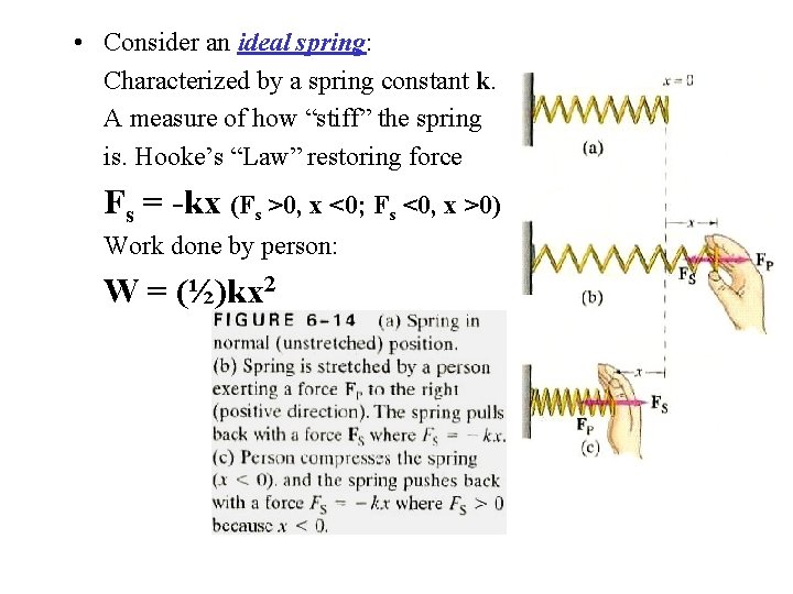  • Consider an ideal spring: Characterized by a spring constant k. A measure
