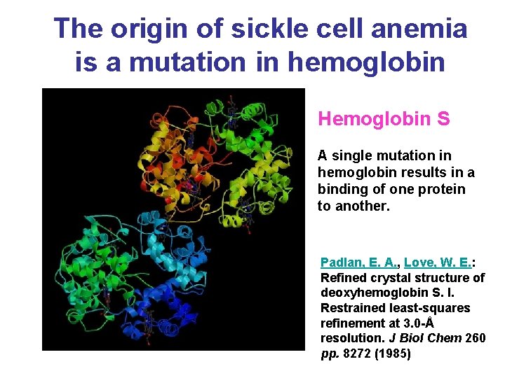 The origin of sickle cell anemia is a mutation in hemoglobin Hemoglobin S A