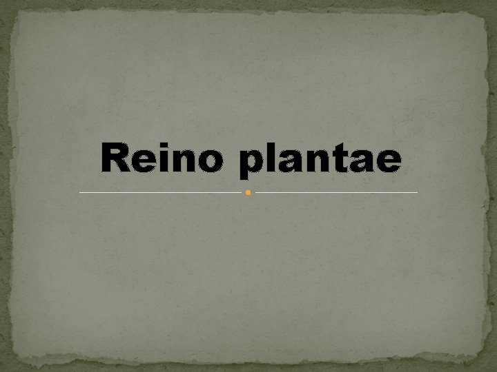 Reino plantae 