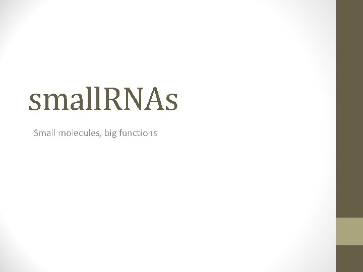 small. RNAs Small molecules, big functions 