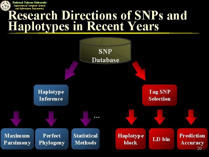 National Taiwan University Department of Computer Science and Information Engineering Research Directions of SNPs