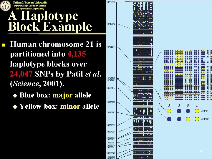 National Taiwan University Department of Computer Science and Information Engineering A Haplotype Block Example