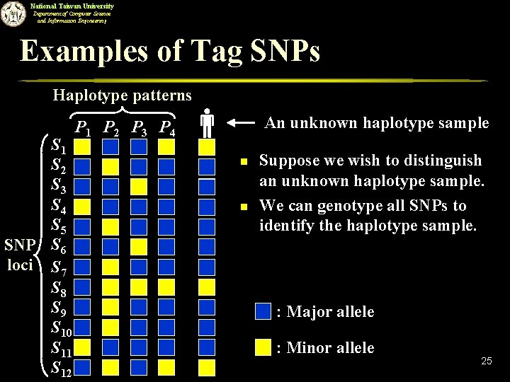 National Taiwan University Department of Computer Science and Information Engineering Examples of Tag SNPs