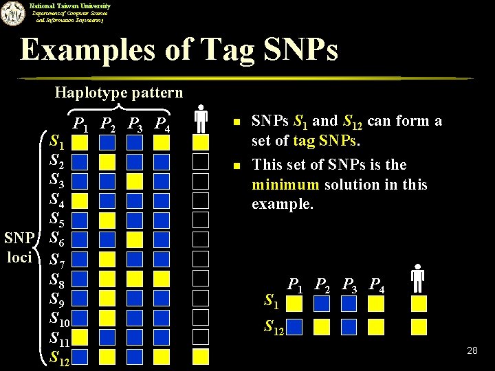 National Taiwan University Department of Computer Science and Information Engineering Examples of Tag SNPs