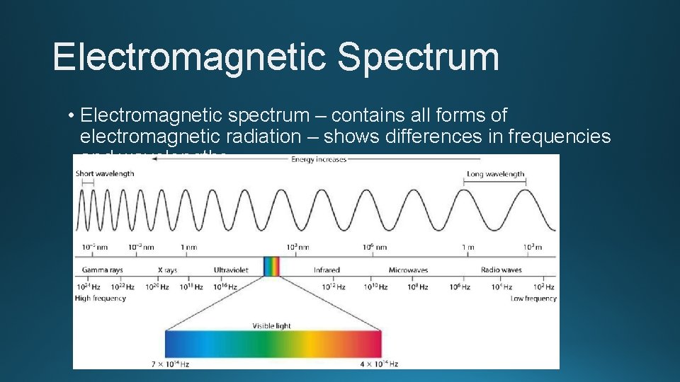 Electromagnetic Spectrum • Electromagnetic spectrum – contains all forms of electromagnetic radiation – shows