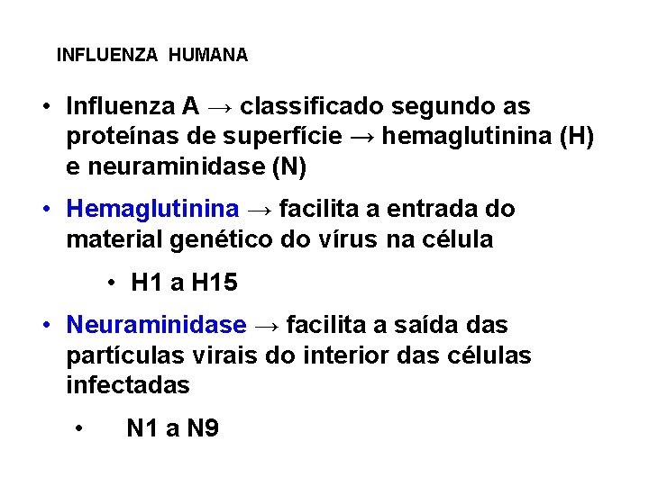 INFLUENZA HUMANA • Influenza A → classificado segundo as proteínas de superfície → hemaglutinina