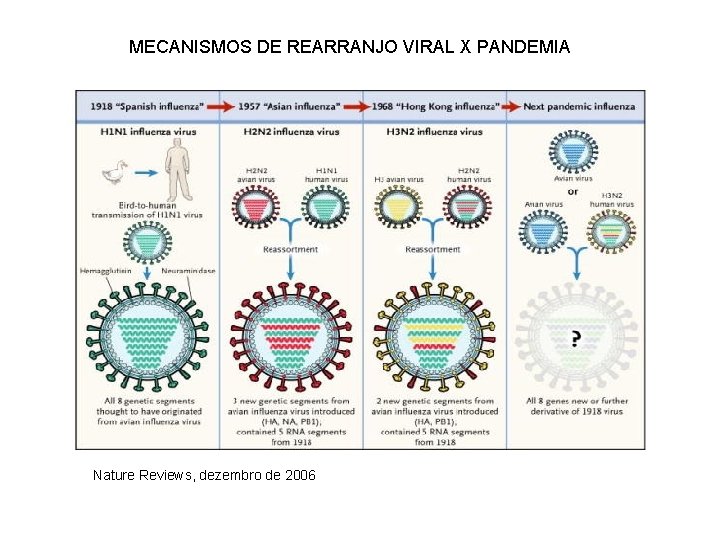 MECANISMOS DE REARRANJO VIRAL X PANDEMIA Nature Reviews, dezembro de 2006 