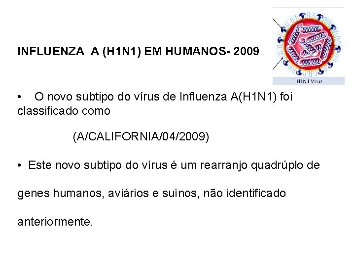 INFLUENZA A (H 1 N 1) EM HUMANOS- 2009 • O novo subtipo do