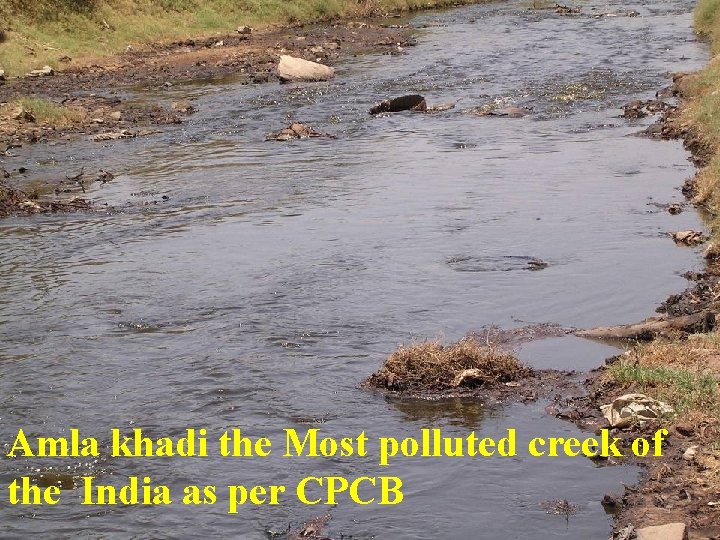 Amla khadi the Most polluted creek of the India as per CPCB 