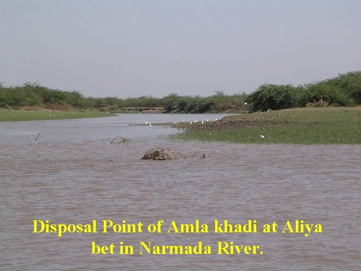 Disposal Point of Amla khadi at Aliya bet in Narmada River. 