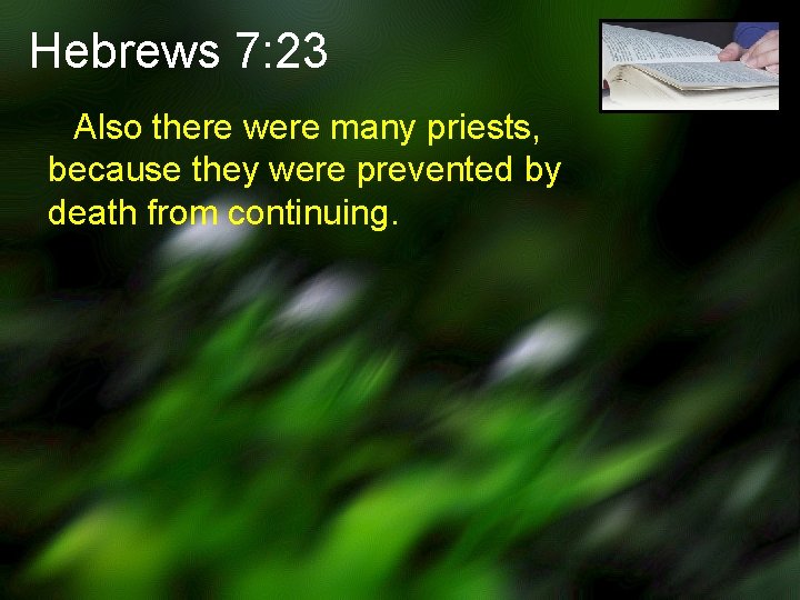 Hebrews 7: 23 Also there were many priests, because they were prevented by death