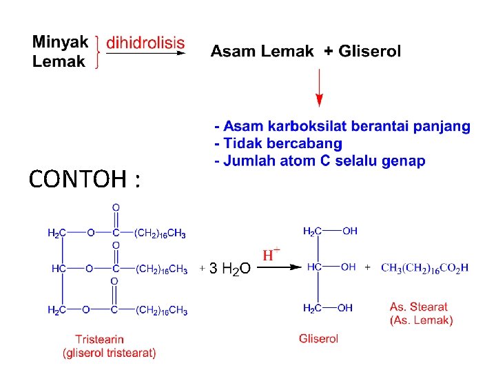 CONTOH : 