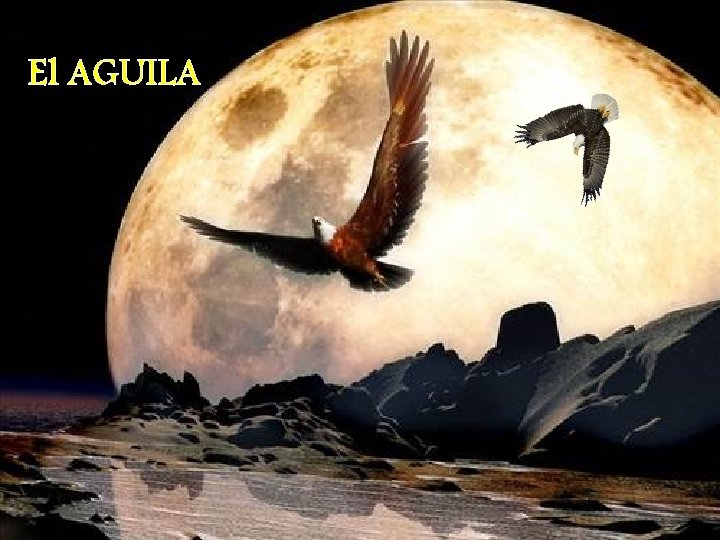 El AGUILA 