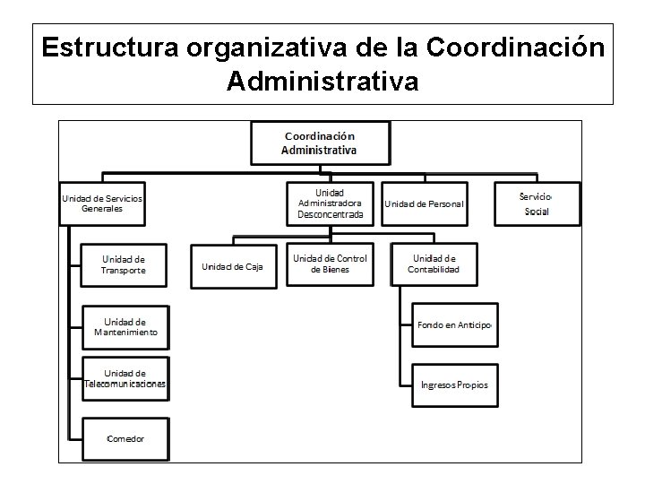 Estructura organizativa de la Coordinación Administrativa 