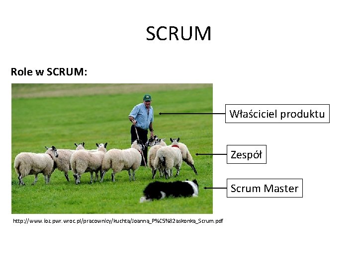 SCRUM Role w SCRUM: Właściciel produktu Zespół Scrum Master http: //www. ioz. pwr. wroc.