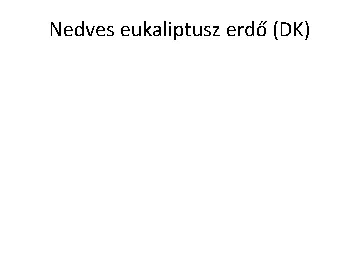 Nedves eukaliptusz erdő (DK) 