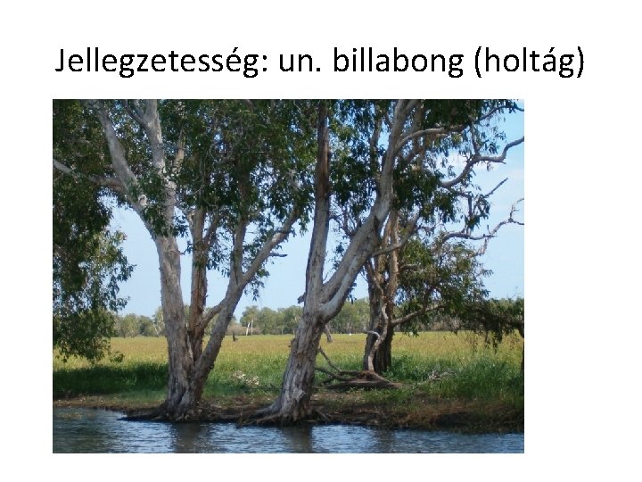 Jellegzetesség: un. billabong (holtág) 