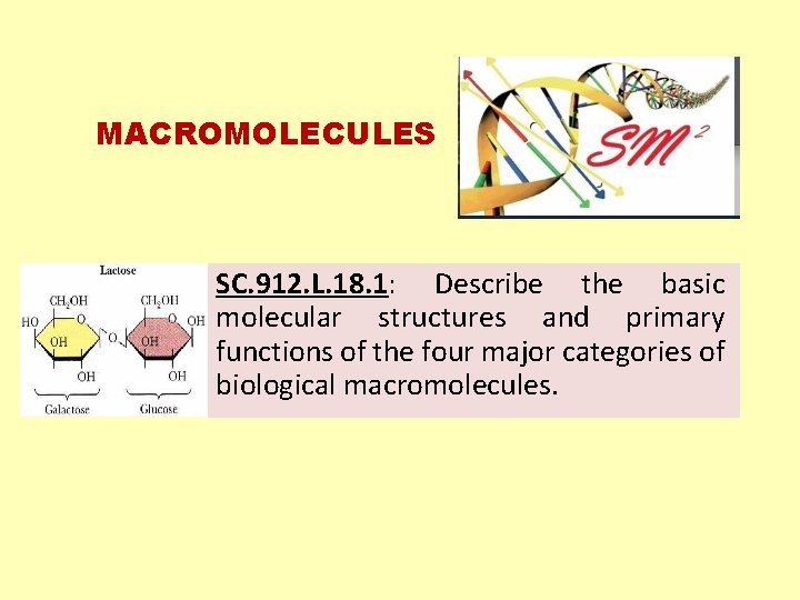 MACROMOLECULES SC. 912. L. 18. 1: Describe the basic molecular structures and primary functions