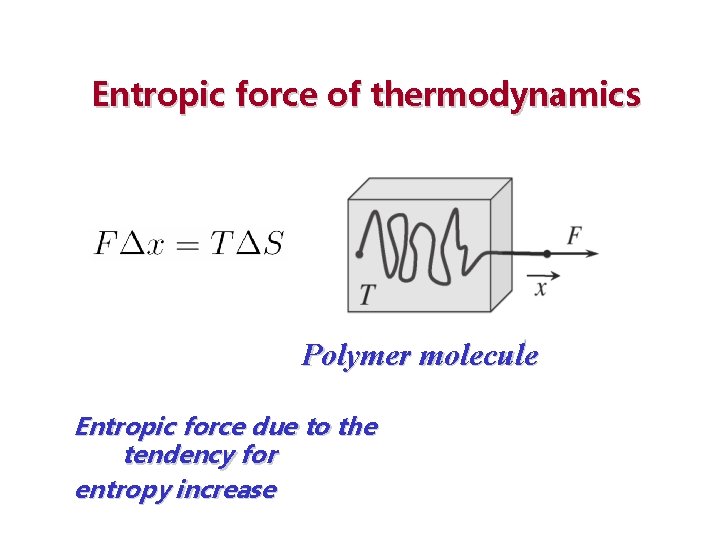 Entropic force of thermodynamics Polymer molecule Entropic force due to the tendency for entropy
