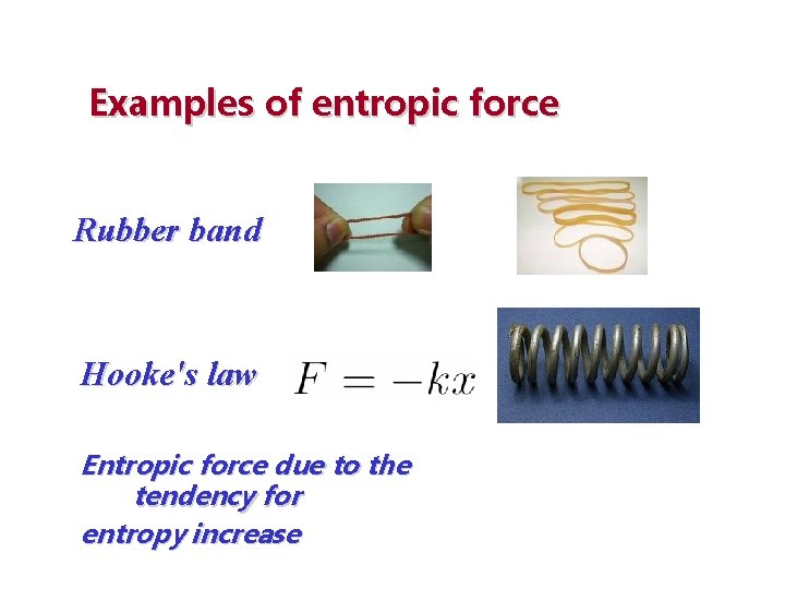 Examples of entropic force Rubber band Hooke's law Entropic force due to the tendency