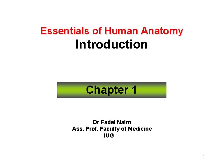 Essentials of Human Anatomy Introduction Chapter 1 Dr Fadel Naim Ass. Prof. Faculty of