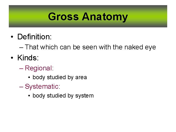 Gross Anatomy • Definition: – That which can be seen with the naked eye