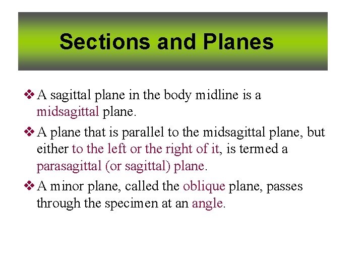 Sections and Planes v A sagittal plane in the body midline is a midsagittal