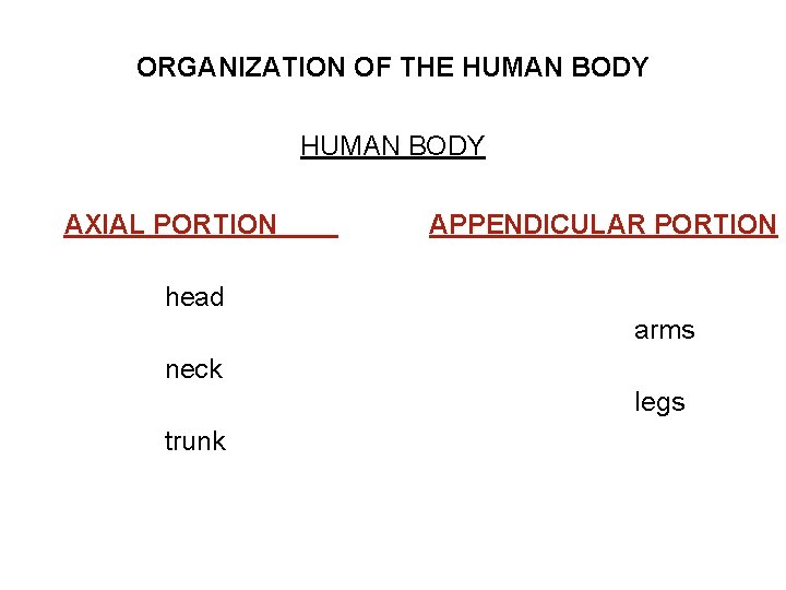 ORGANIZATION OF THE HUMAN BODY AXIAL PORTION APPENDICULAR PORTION head arms neck legs trunk