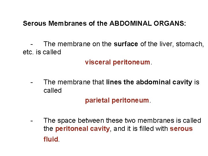 Serous Membranes of the ABDOMINAL ORGANS: The membrane on the surface of the liver,
