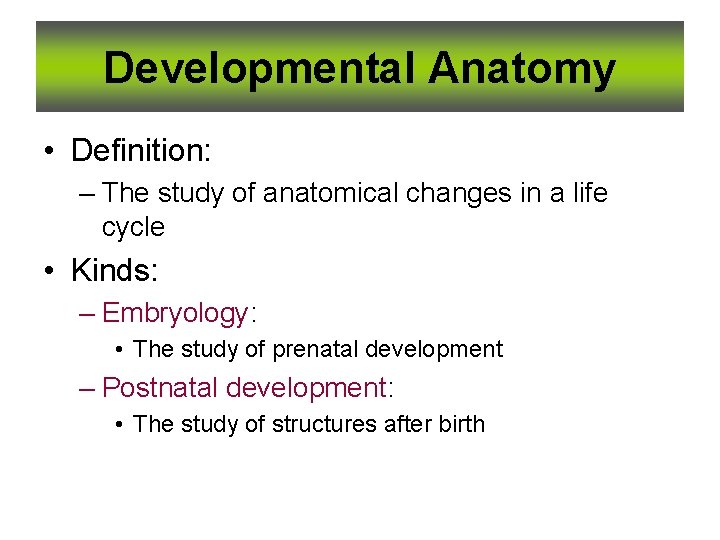 Developmental Anatomy • Definition: – The study of anatomical changes in a life cycle