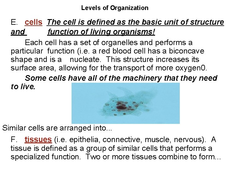 Levels of Organization E. cells The cell is defined as the basic unit of