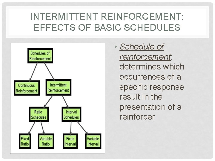 INTERMITTENT REINFORCEMENT: EFFECTS OF BASIC SCHEDULES • Schedule of reinforcement: determines which occurrences of