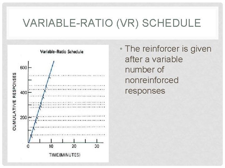 VARIABLE-RATIO (VR) SCHEDULE • The reinforcer is given after a variable number of nonreinforced