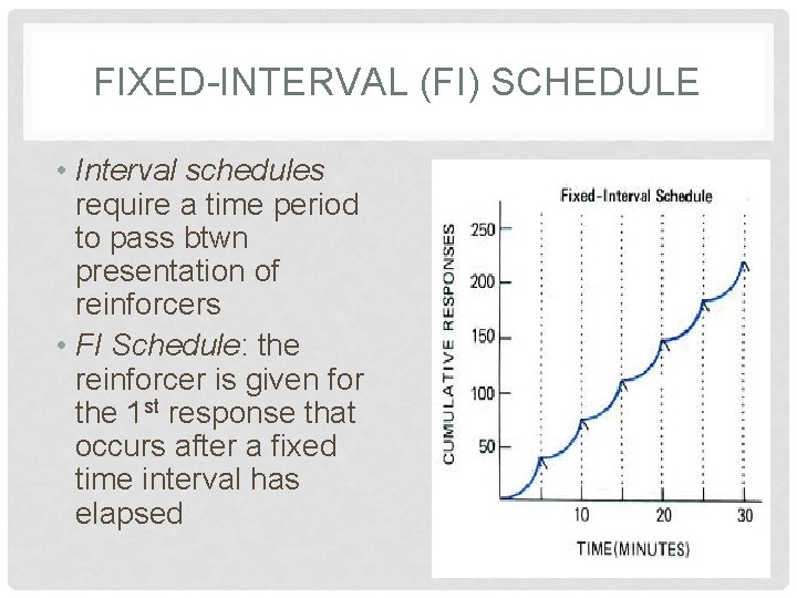 FIXED-INTERVAL (FI) SCHEDULE • Interval schedules require a time period to pass btwn presentation FIXED-INTERVAL (FI) SCHEDULE • Interval schedules require a time period to pass btwn presentation