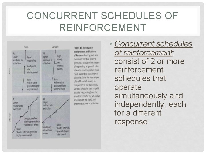 CONCURRENT SCHEDULES OF REINFORCEMENT • Concurrent schedules of reinforcement: consist of 2 or more