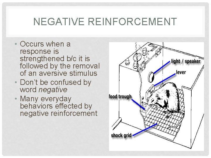 NEGATIVE REINFORCEMENT • Occurs when a response is strengthened b/c it is followed by NEGATIVE REINFORCEMENT • Occurs when a response is strengthened b/c it is followed by