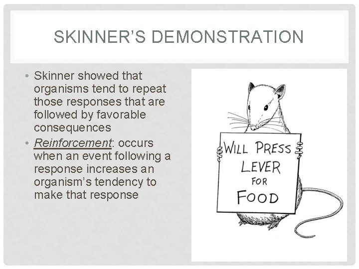 SKINNER’S DEMONSTRATION • Skinner showed that organisms tend to repeat those responses that are