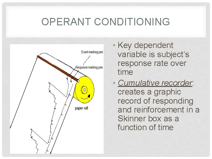 OPERANT CONDITIONING • Key dependent variable is subject’s response rate over time • Cumulative OPERANT CONDITIONING • Key dependent variable is subject’s response rate over time • Cumulative