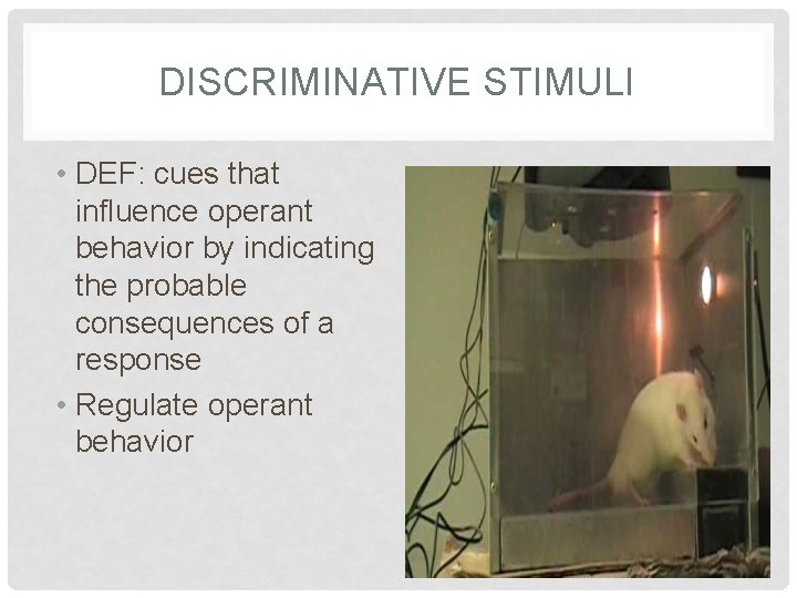 DISCRIMINATIVE STIMULI • DEF: cues that influence operant behavior by indicating the probable consequences DISCRIMINATIVE STIMULI • DEF: cues that influence operant behavior by indicating the probable consequences