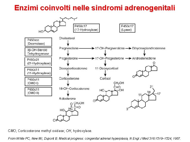 Enzimi coinvolti nelle sindromi adrenogenitali CMO, Corticosterone methyl oxidase; OH, hydroxylase. From White PC,