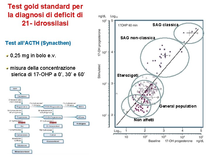 Test gold standard per la diagnosi di deficit di 21 - idrossilasi Test all’ACTH