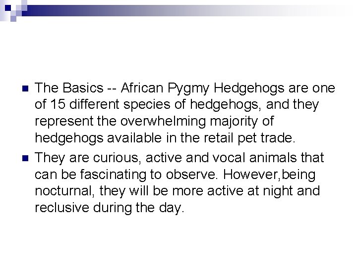 n n The Basics -- African Pygmy Hedgehogs are one of 15 different species