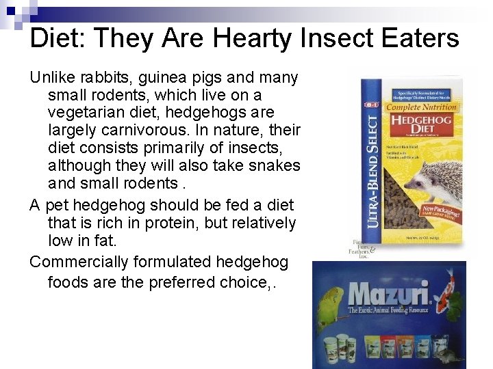 Diet: They Are Hearty Insect Eaters Unlike rabbits, guinea pigs and many small rodents,