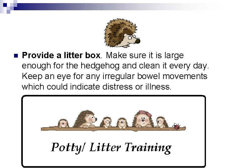 n Provide a litter box. Make sure it is large enough for the hedgehog