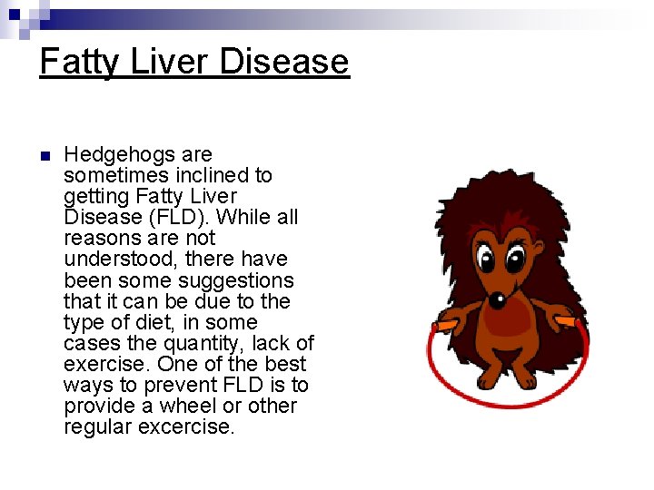 Fatty Liver Disease n Hedgehogs are sometimes inclined to getting Fatty Liver Disease (FLD).