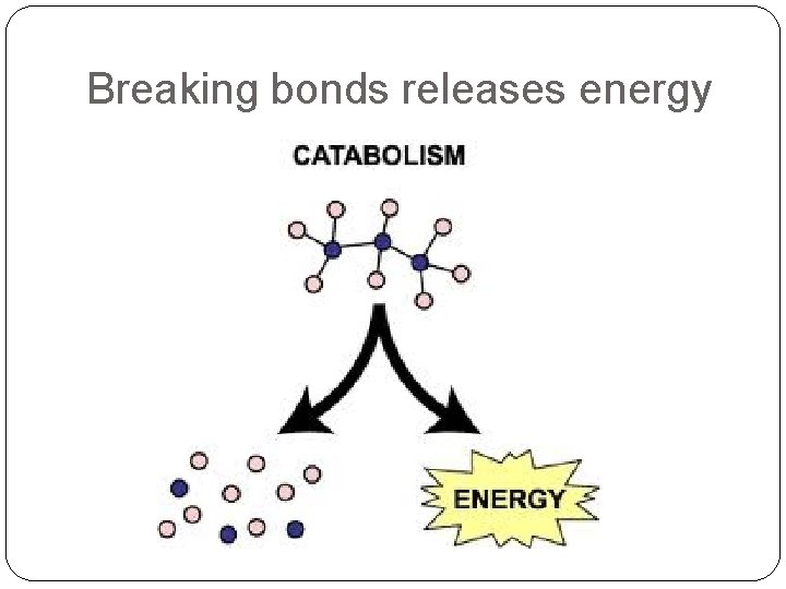 Breaking bonds releases energy 