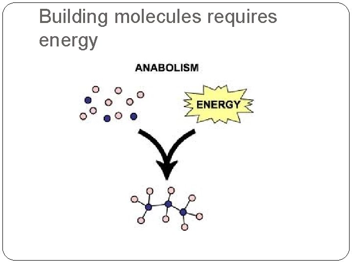 Building molecules requires energy 